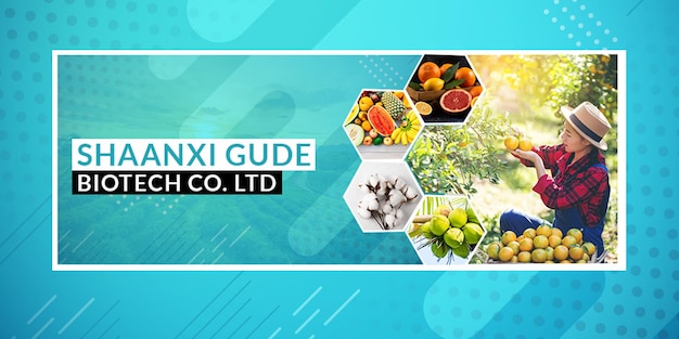 PSD fruit foods facebook cover template