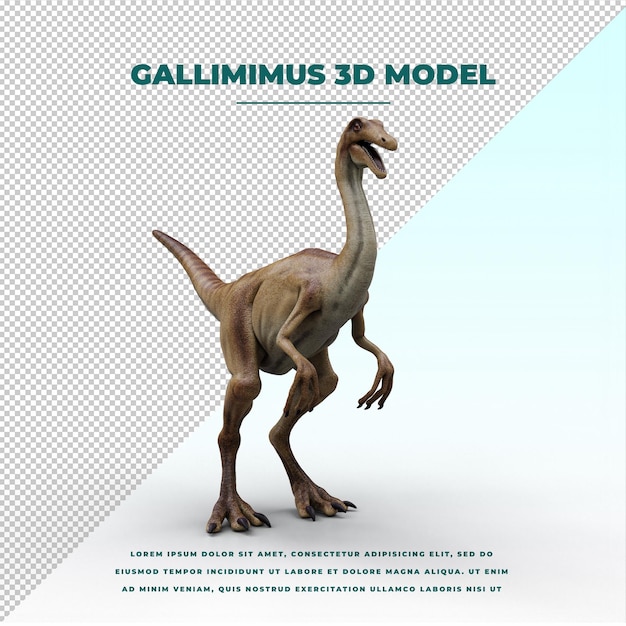 gallimimus