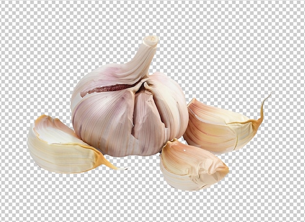 Garlic On Alpha Layer