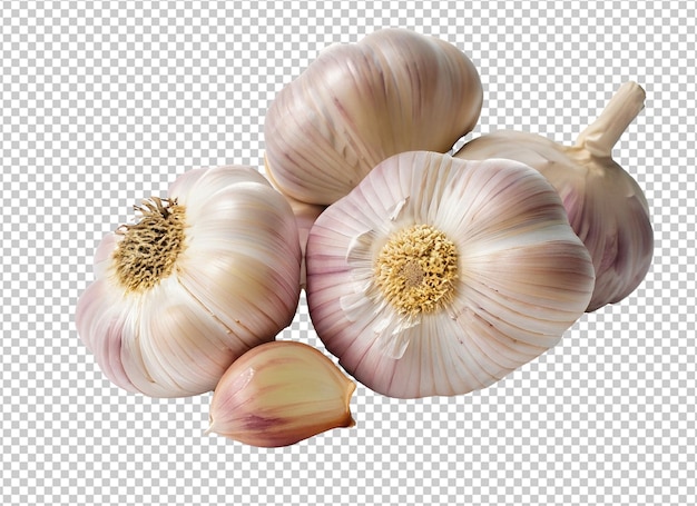 Garlic On Alpha Layer