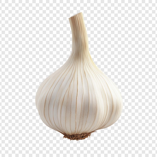 Garlic Bulb Closeup