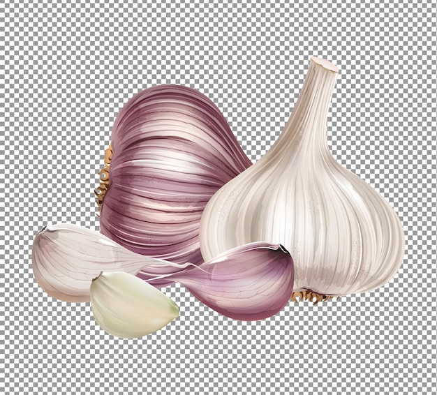 Garlic bulbs with pieces isolated on transparent background