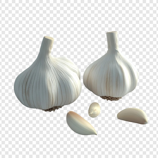 PSD garlic cloves white bulbs and fresh