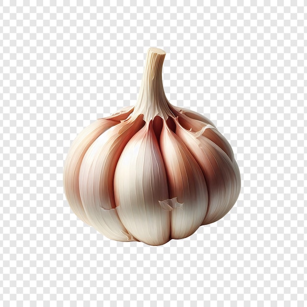 PSD garlic isolated on transparent background