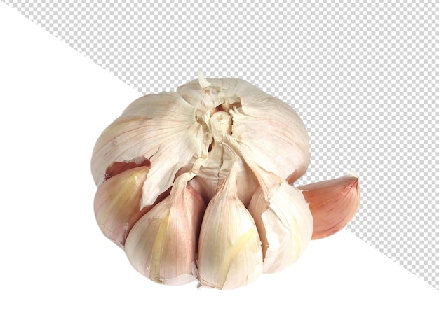 a garlic that is on a white background