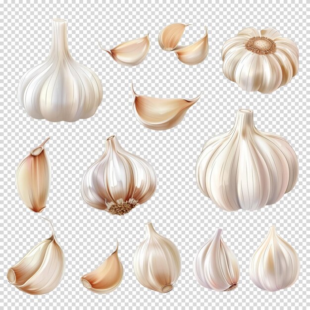 PSD garlic transparent background