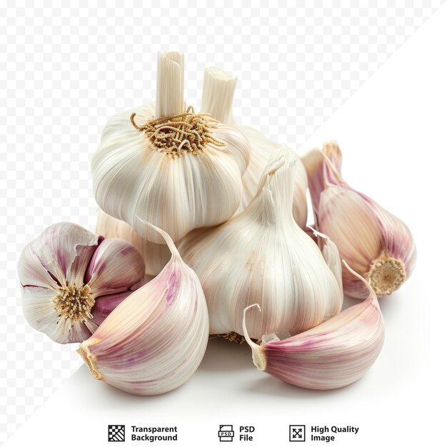 Garlic on white isolated background