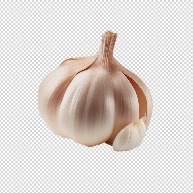 A garlic with a white bulb on it