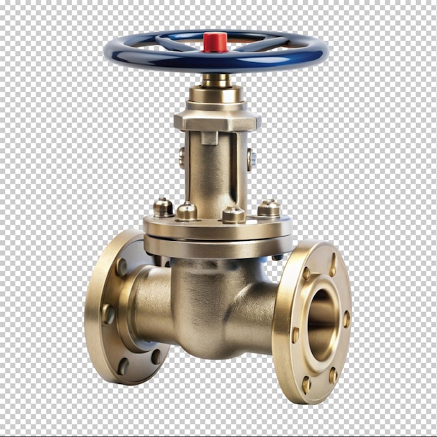 gate valve