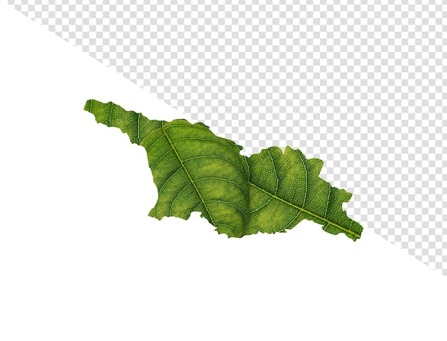 Georgia map made of green leaves on isolated background ecology concept