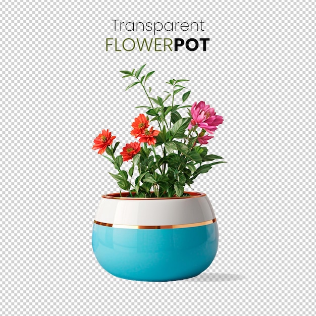 Gerbera Bush On 3d Shiny Blue Flowerpot With Daisy Flowers isolated on a Transparent Background