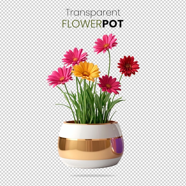 Gerbera Daisy Color Bloom Flower in 3d Golden Red Flowerpot Isolated on a Transparent Background