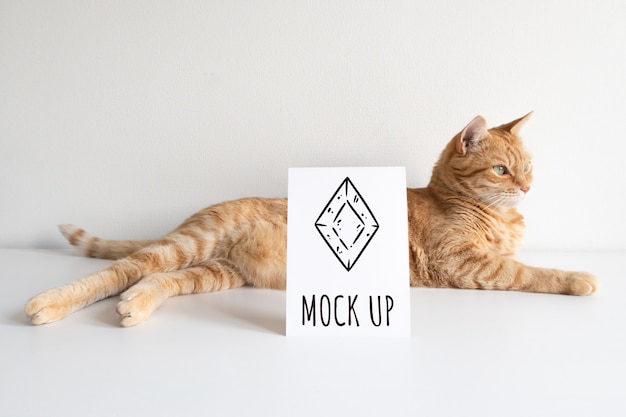 Ginger cat with vertical postcard mockup on white table.