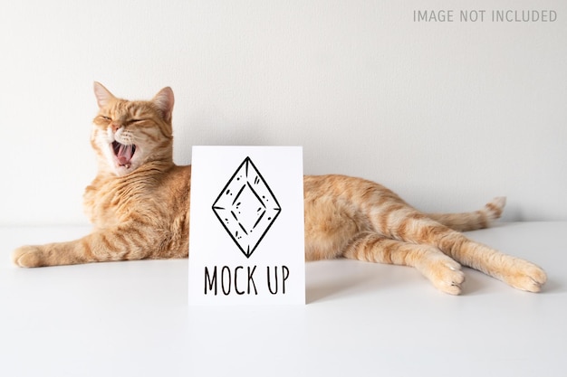 Ginger cat yawning with vertical postcard on white table background mockup Cute pet with copy space card for your image or text Pet shelter veterinarian concept banner