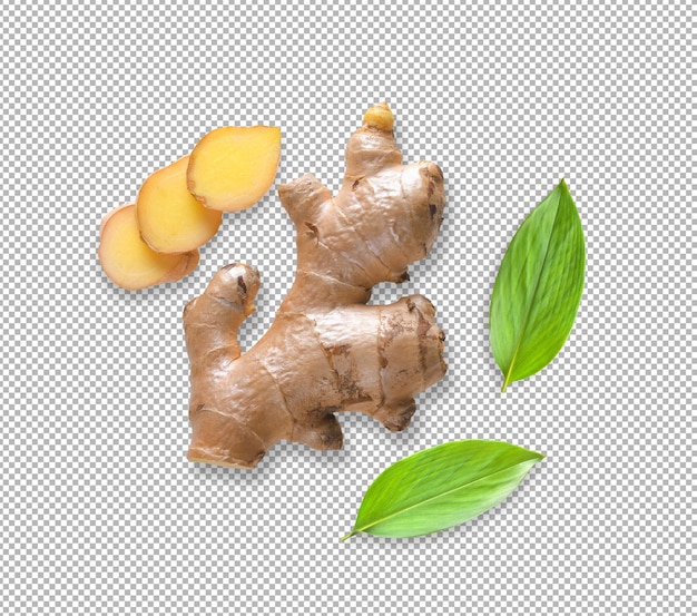 Ginger with leaves Isolated on alpha layer