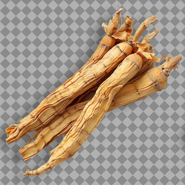 Ginseng Flower Type of Herb Panax Ginseng Form of Herb Dried Isolated Object on Clean Background