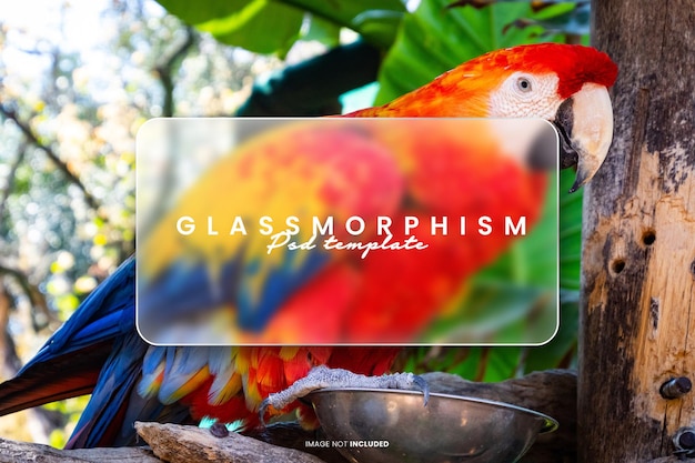 glass morp photo effect psd