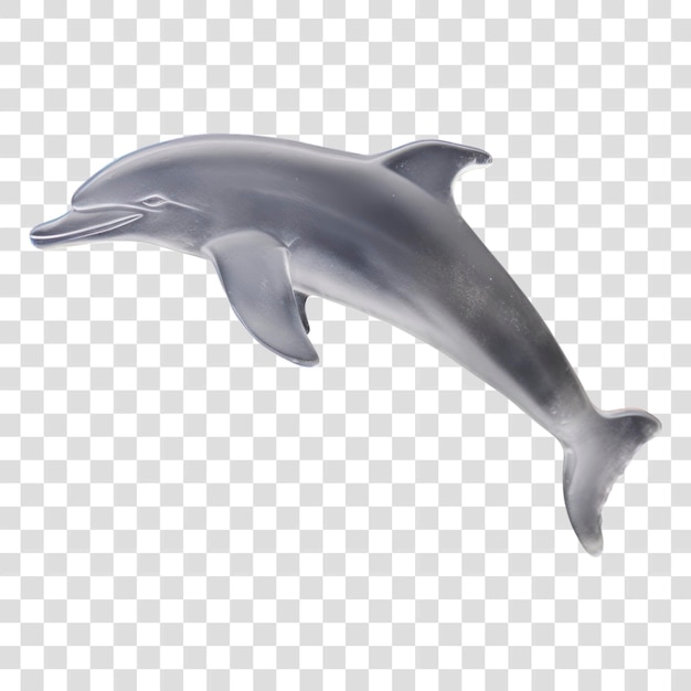 Glossy dolphin transparent PNG