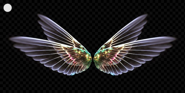 Glowing wings