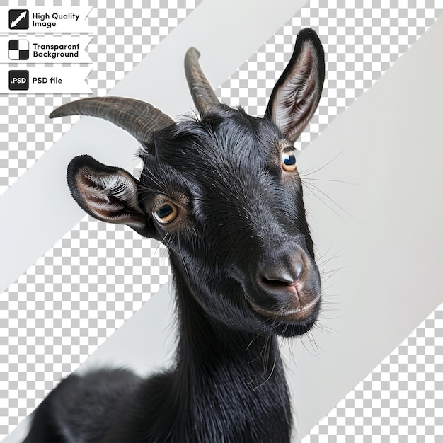 a goat with a picture of a goat on it