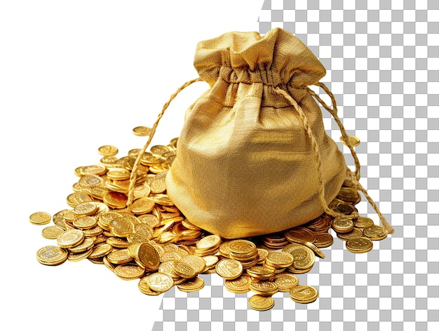 Gold coins and a bag of gold coins