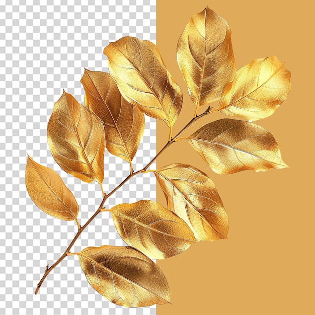 Gold leaves png isolated on transparent background