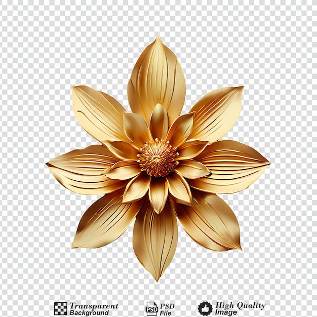 gold modern flower element isolated on transparent backgroundpng