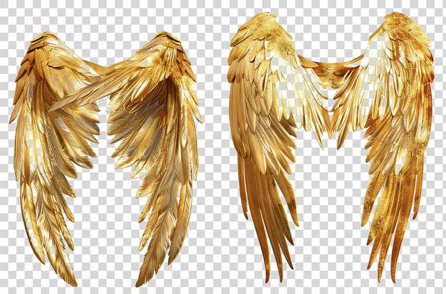 PSD gold wings vector illustration with white background