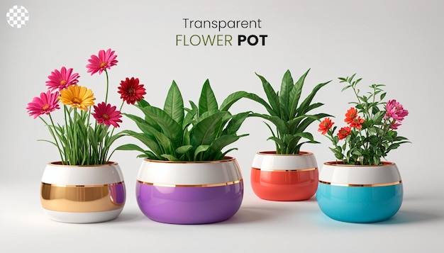 Golden Colorful Flowerpot Set 3d Red Blue Vase Isolated on a Transparent Removable Background