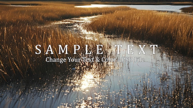 Golden Hour Reflections in a Marsh