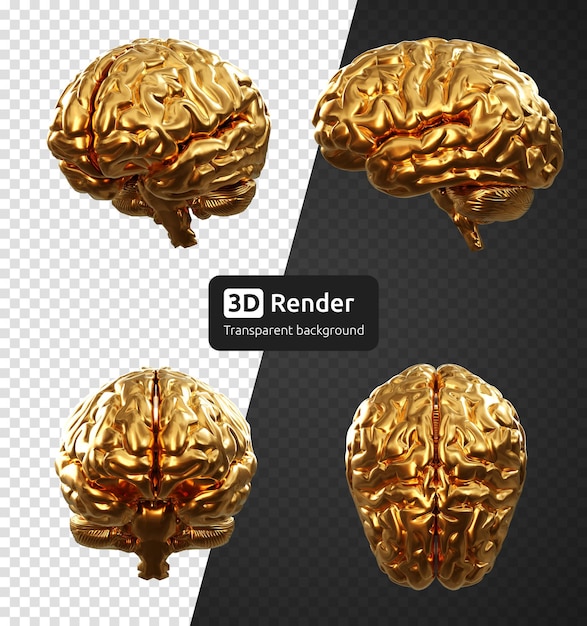 Golden human brain 3d render isolated