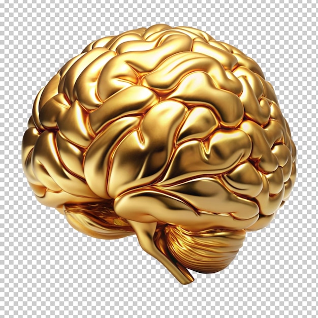 PSD golden human brain