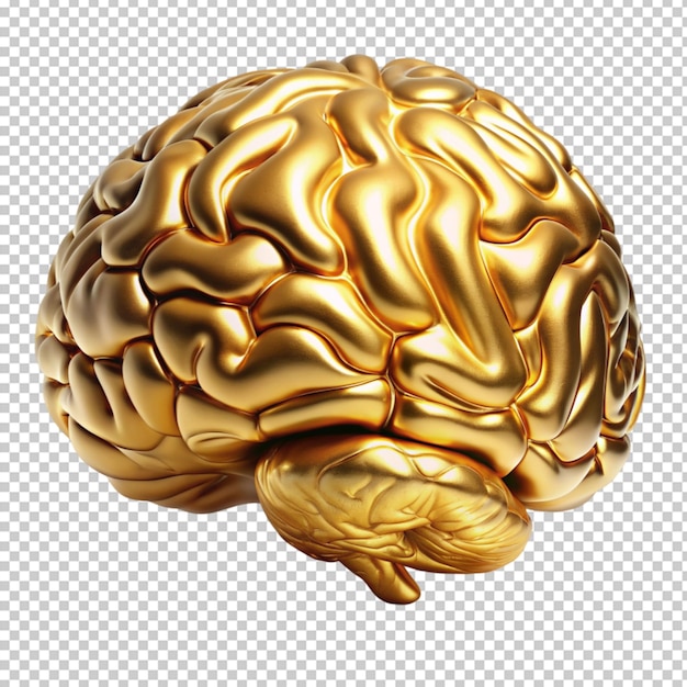 PSD golden human brain