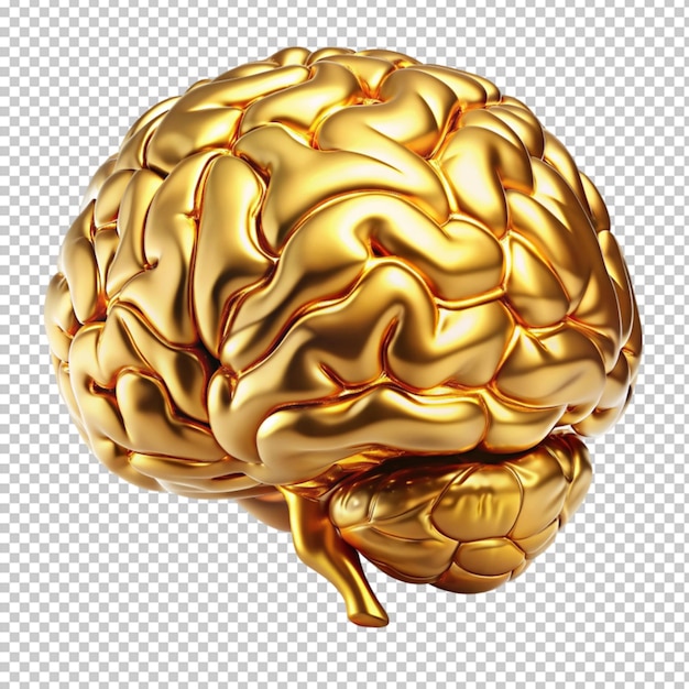 golden human brain