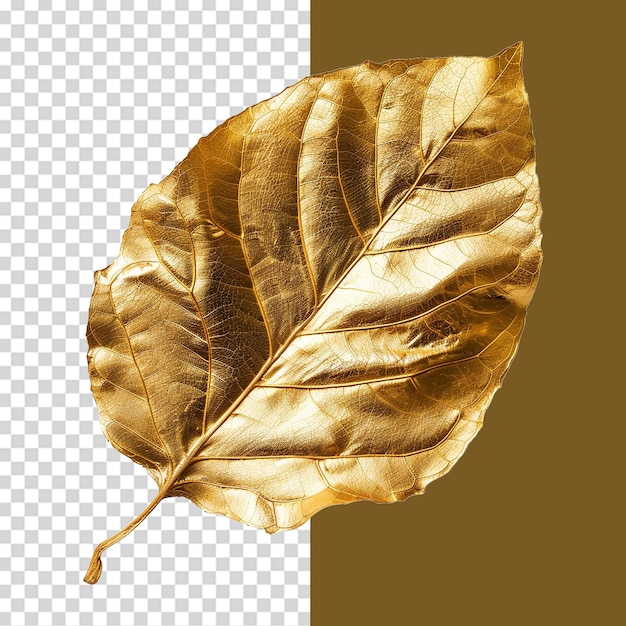 Golden leaf isolated on a transparent background