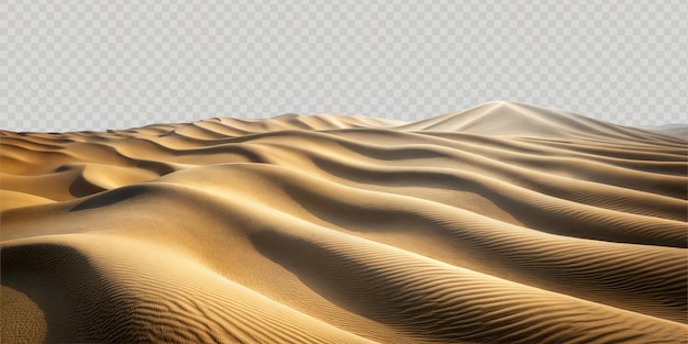 Golden sand dunes under a bright sun in a vast desert