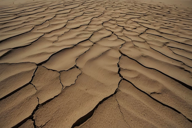 Golden sand ripples glisten under warm sunlight