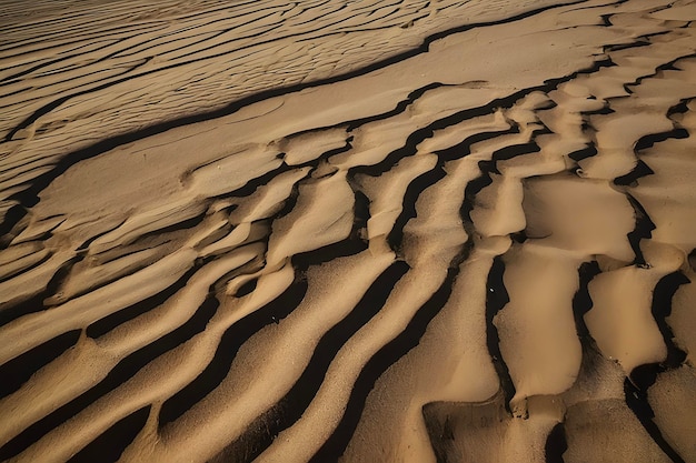 Golden sand ripples glisten under warm sunlight