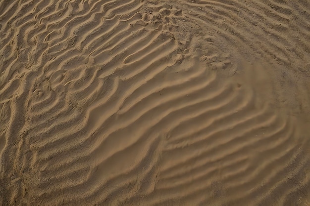 Golden sand ripples glisten under warm sunlight