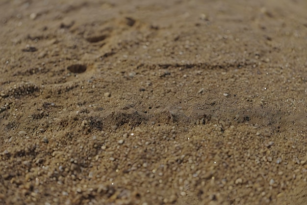 PSD golden sand ripples glisten under warm sunlight