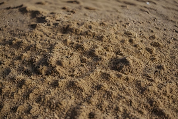 PSD golden sand ripples glisten under warm sunlight