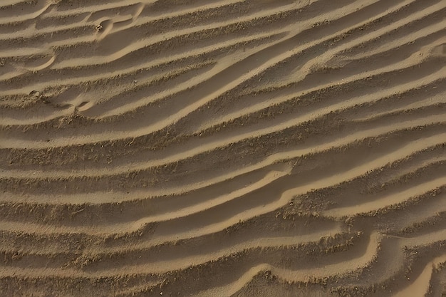 Golden sand ripples glisten under warm sunlight