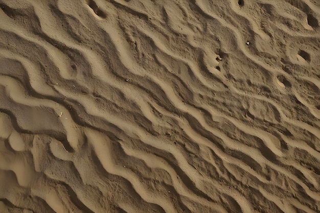 PSD golden sand ripples glisten under warm sunlight