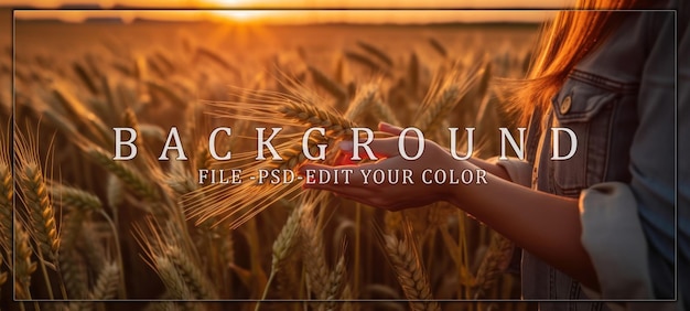 PSD golden wheat field at sunset with hands holding grain