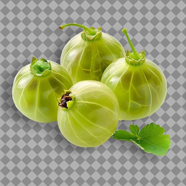 Gooseberry Fruit With Small Round Shape and Green Color Tart Isolated Fruit on Clean Background