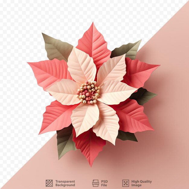 PSD gorgeous flower backdrop featuring holiday poinsettias