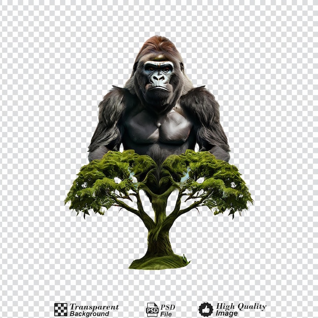 PSD gorilla tree isolated on transparent backgroundpng