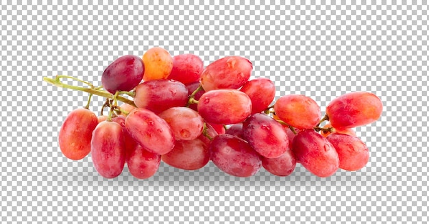 Grape on alpha layer background