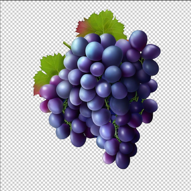 Grapes Icon for Food Enthusiasts