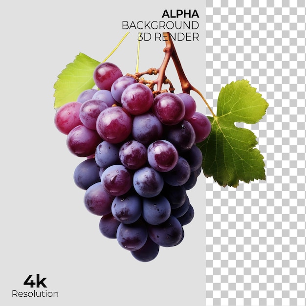 Grapes on Transparent Background